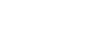 BIRDS AND NATURE Logo
