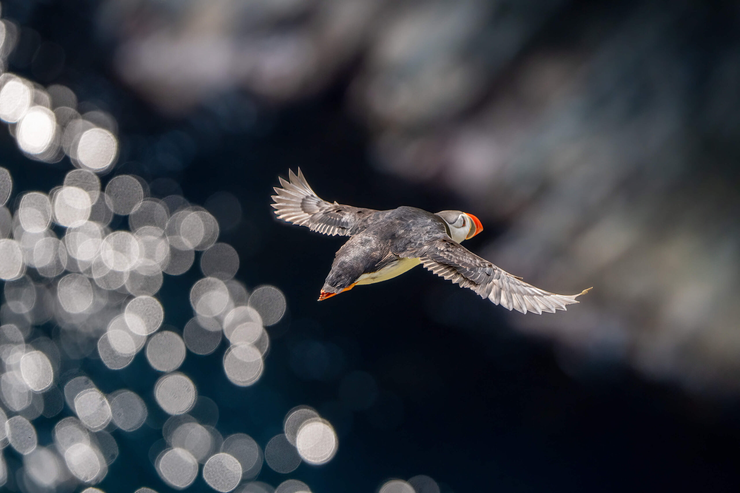 DSC08032-Bearbeitet-2