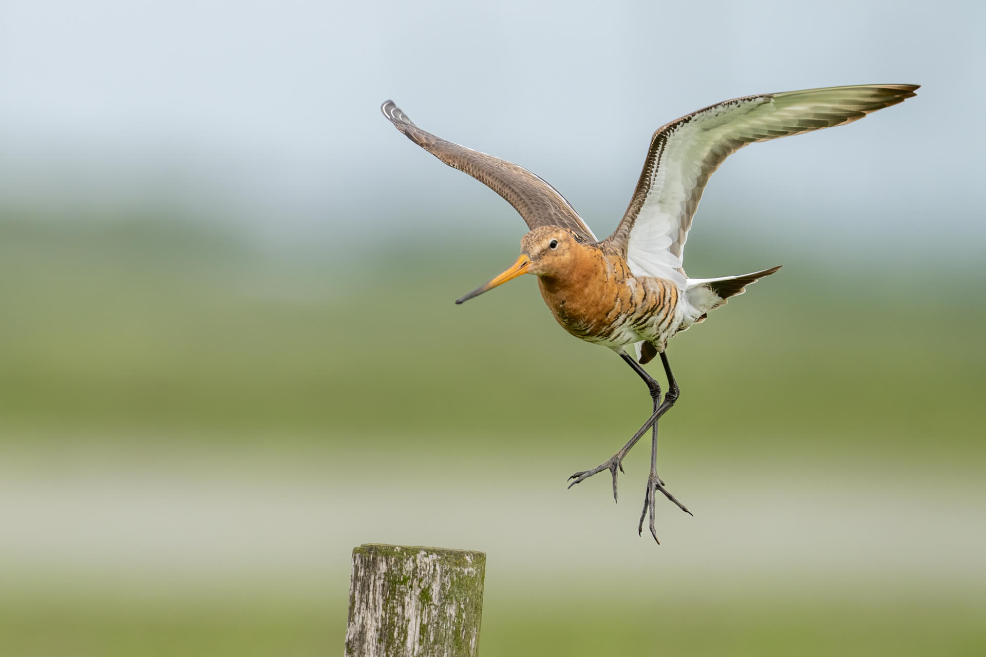 DSC01856-Bearbeitet-2