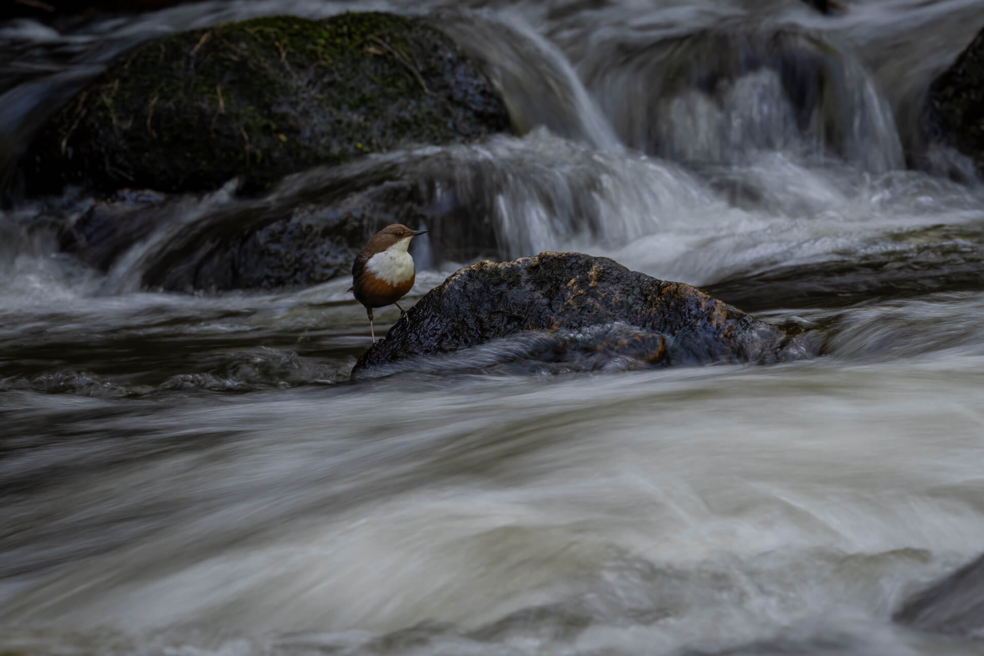 _SA21320-Bearbeitet