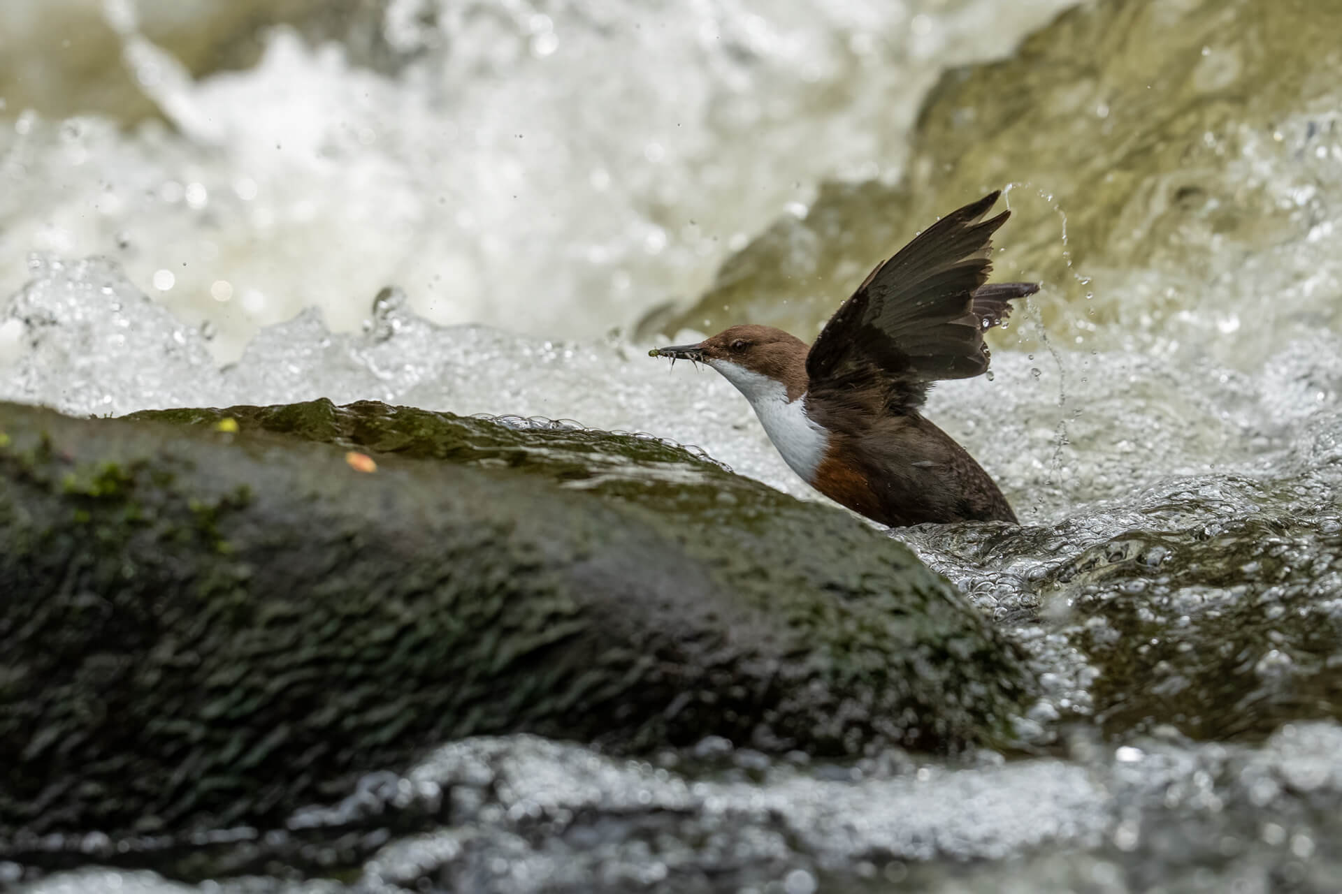 _SA27015-Bearbeitet