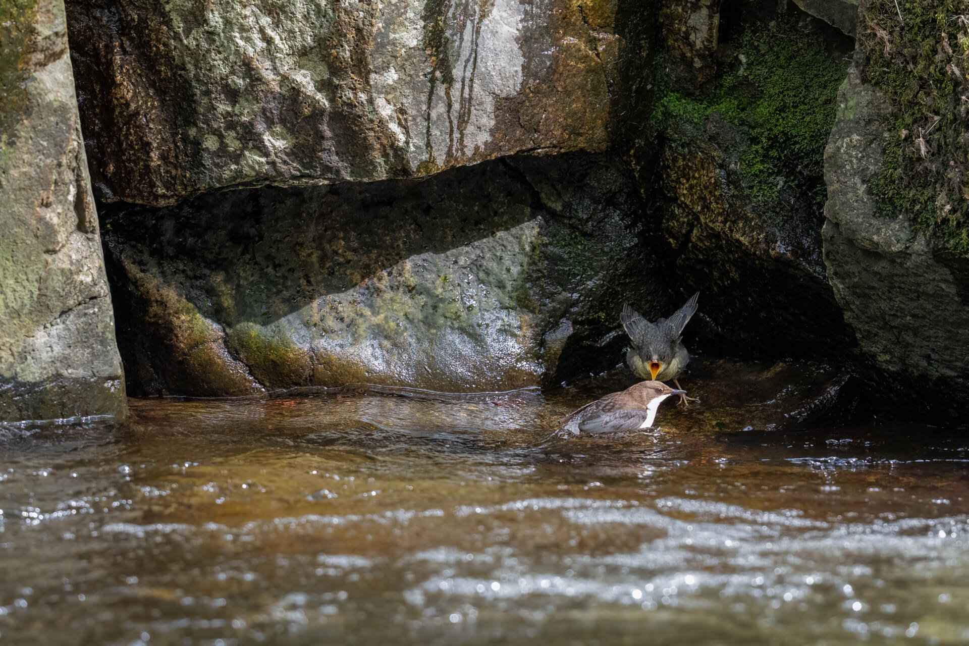_SA28536-Bearbeitet