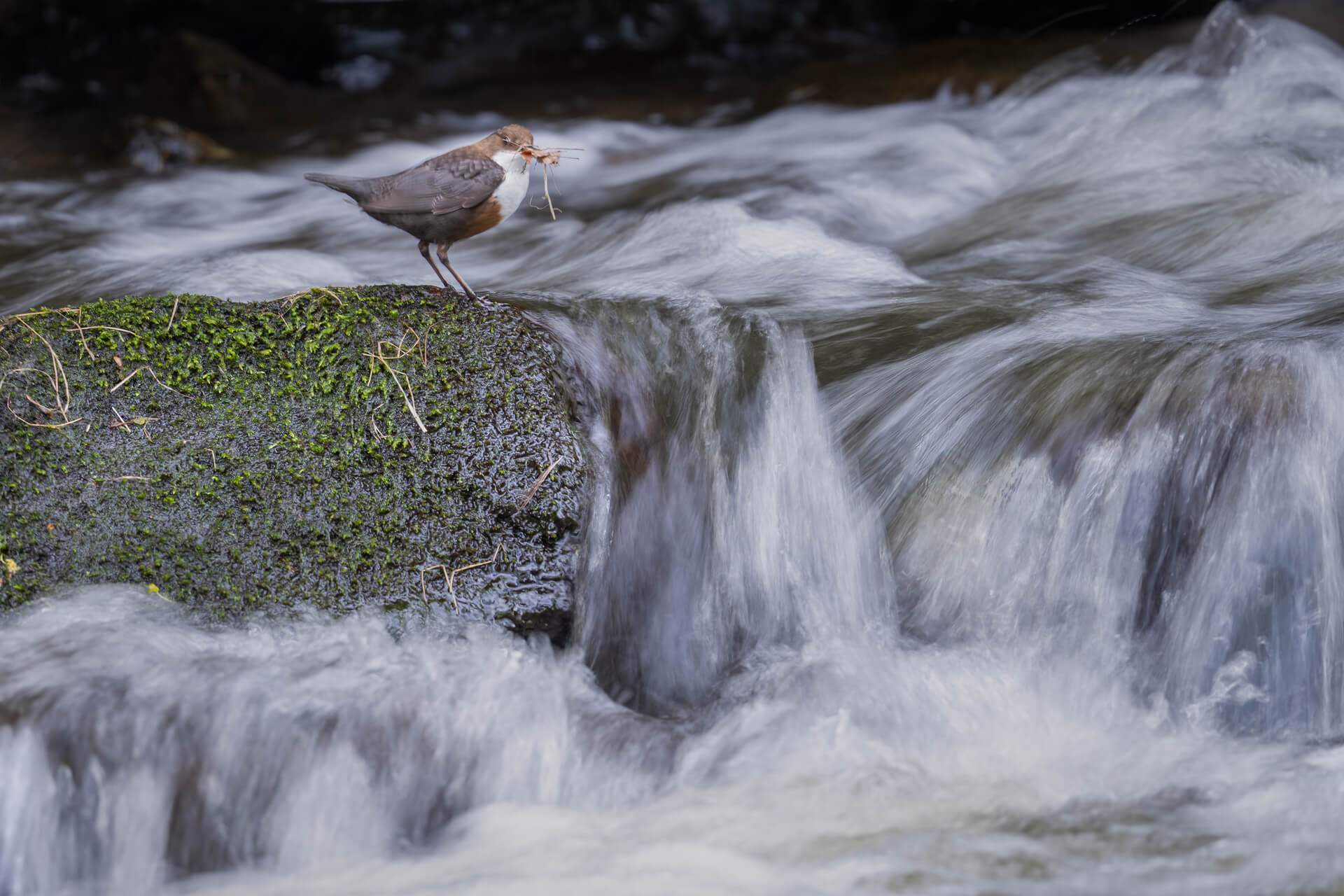 _SA28895-Bearbeitet